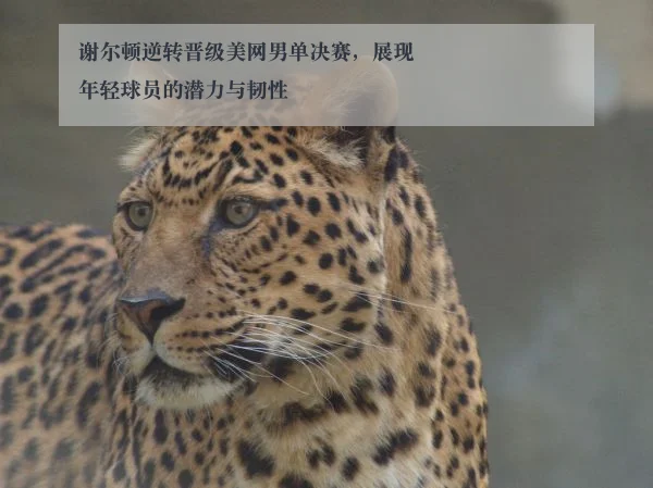 谢尔顿逆转晋级美网男单决赛，展现年轻球员的潜力与韧性